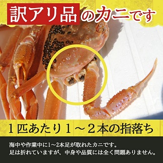 訳あり 遊佐沖 春の生・本ズワイガニ 2匹 計800g程度（1～2本足折れ）