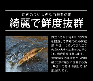 鮭トバ 100g×3パックセット