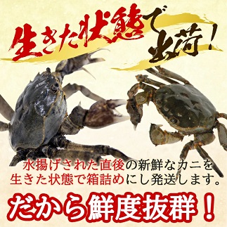 生・天然モクズガニ 1.7kg以上 小ぶりサイズ17～24匹
