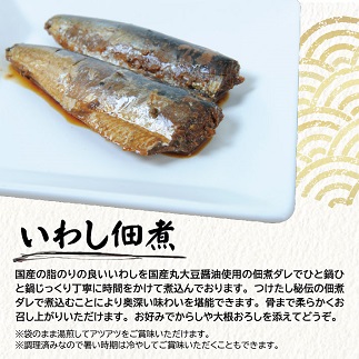 じっくりコトコト丁寧に煮込んだ「国産いわしの佃煮」2尾×10パック 10パック