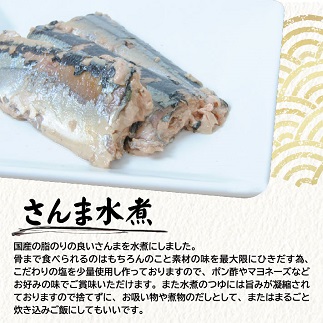 つゆもおダシで使えて2度おいしい「国産さんまの水煮」130g×10パック 10パック