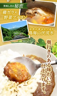 世界の海老カレー 6袋入り×1箱