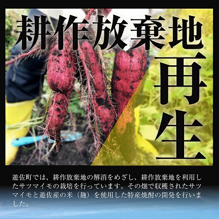 本格焼酎　耕作くん 720ml×2本