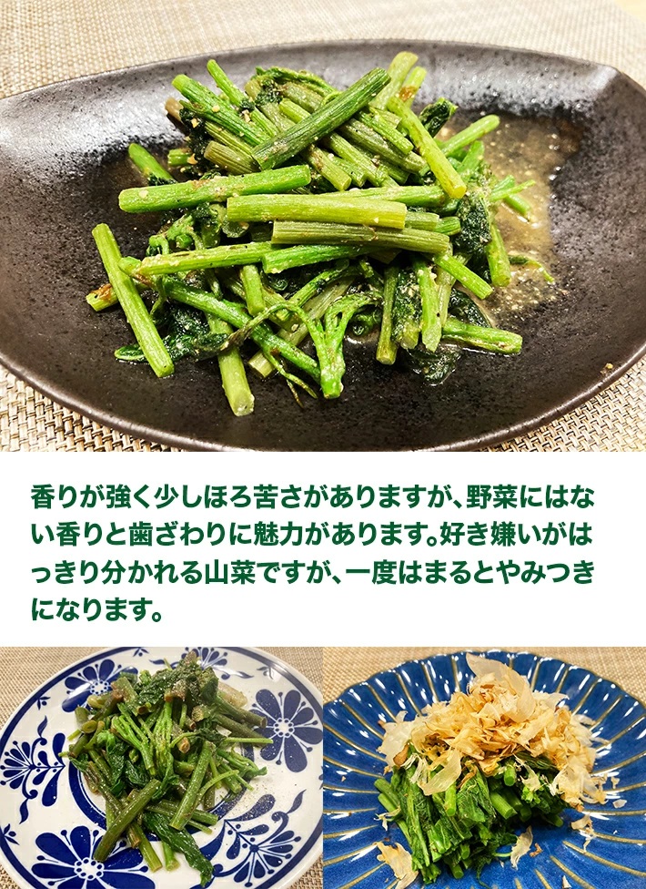 「山の香りが美味しい、山菜の王様」天然しどけ約300g+オマケ1種