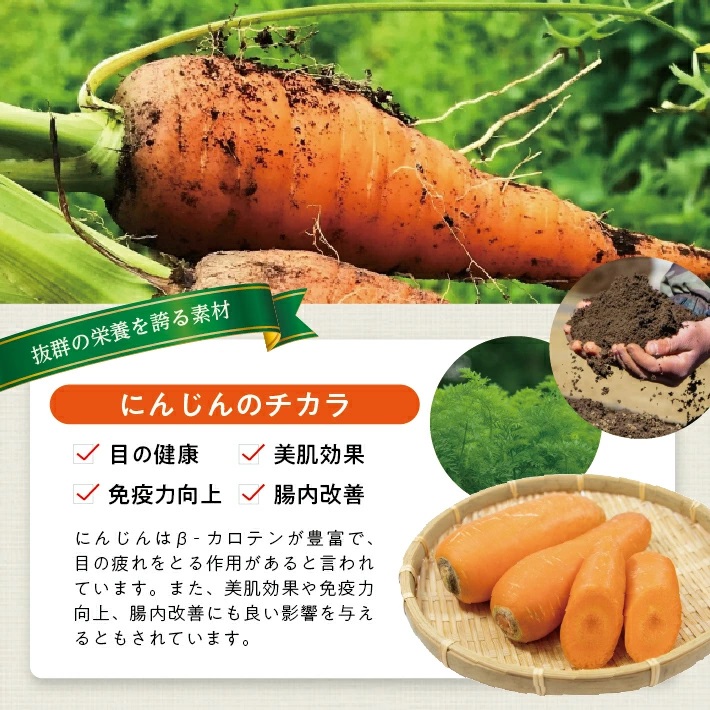 冷凍にんじんペースト1.0kg(500g×2袋) 1.0kg（500g×2袋）