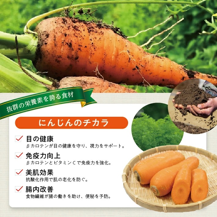 冷凍にんじんペースト700g(100g×7袋) 700g（100g×7袋）