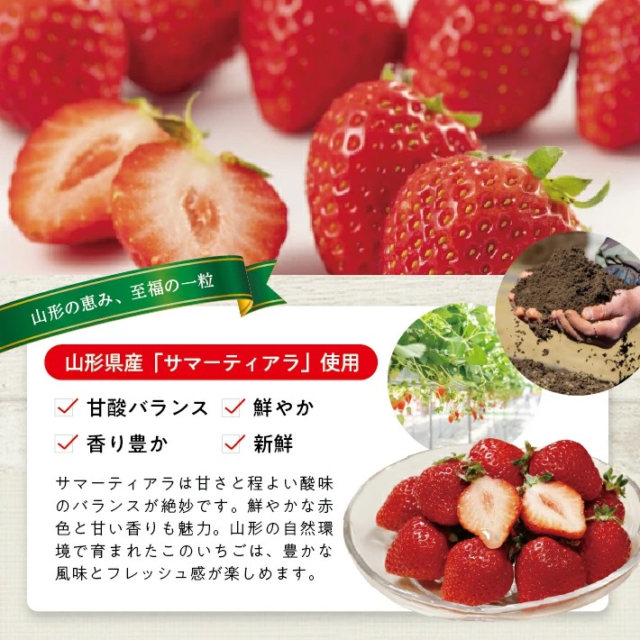 冷凍いちご1.0kg(500g×2袋) 1.0kg(500g×2袋)