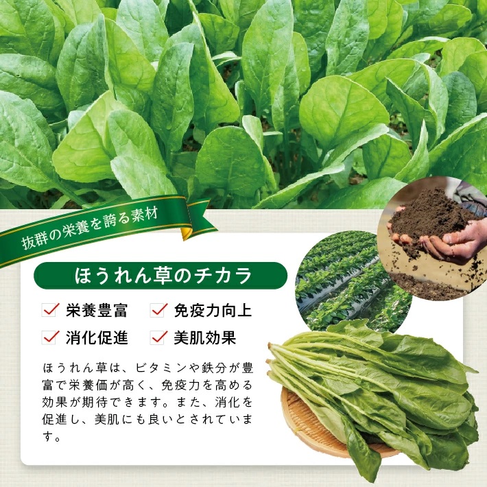 冷凍ほうれん草ペースト800g(100g×8袋) 800g（100g×8袋）