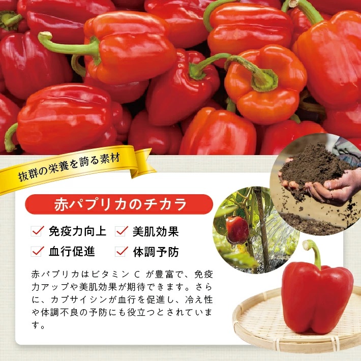 冷凍パプリカペースト700g(100g×7袋) 700g（100g×7袋）