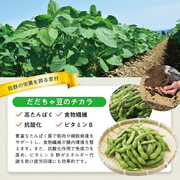 冷凍だだちゃ豆ペースト700g(100g×7袋) 700g（100g×7袋）