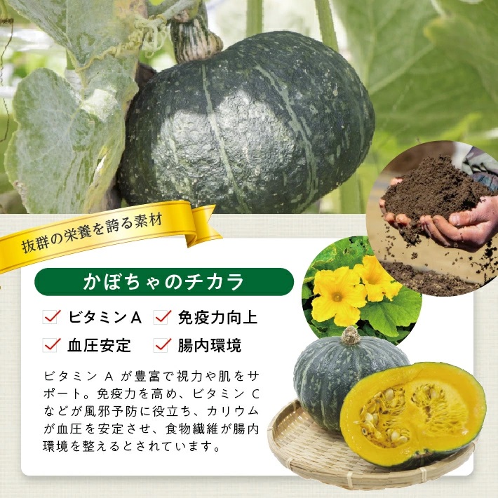 冷凍かぼちゃペースト1.0kg(500g×2袋) 1.0kg（500g×2袋）