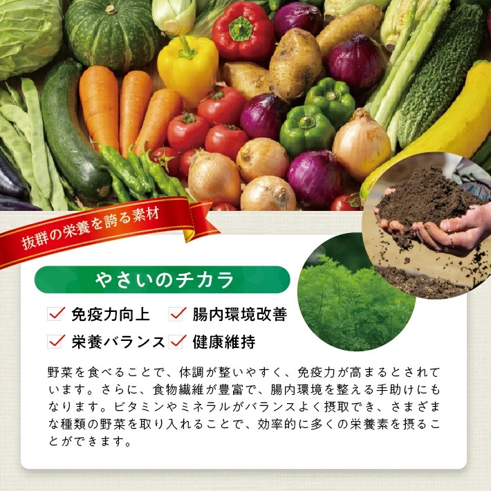 冷凍野菜ペーストアラカルト3.0kg(500g6種×各1袋) 3.0kg（500g6種×各1袋）
