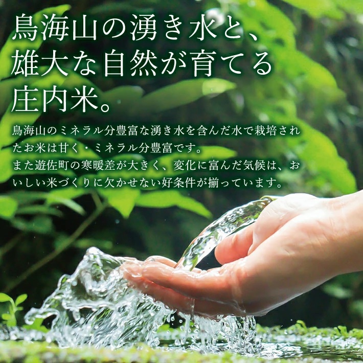 遊佐町産ひとめぼれ5kg （令和7年産米）04月中旬