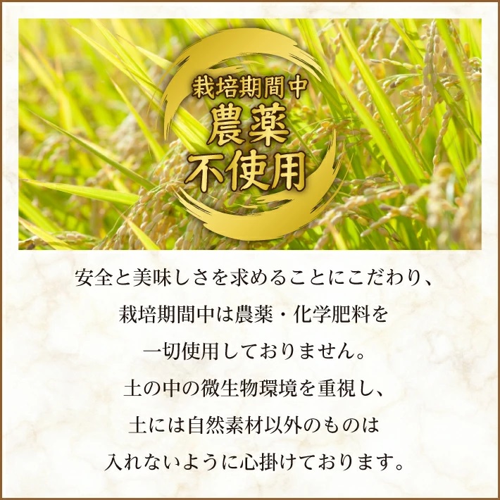 特別栽培米つや姫 農薬不使用  真空米 5kg