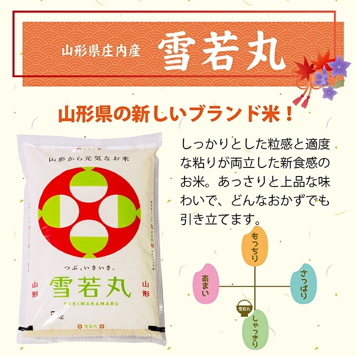 【定期便】庄内産雪若丸5kg×3ヶ月連続（2月～4月）
