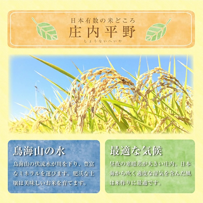 【定期便】はえぬき5kg×6ヶ月連続(3月～8月)