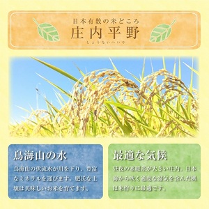  【定期便】庄内産雪若丸5kg×6ヶ月連続(3月～8月)