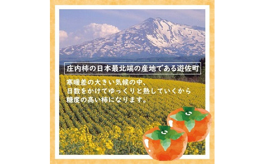 特別栽培庄内柿 2.5kg L～3Lサイズ 11～12個入り 山形県遊佐町産 2026年11月上旬～12月上旬頃お届け ※着日指定不可 東北 山形県 遊佐町 庄内地方 種無し柿 カキ かき 種無し