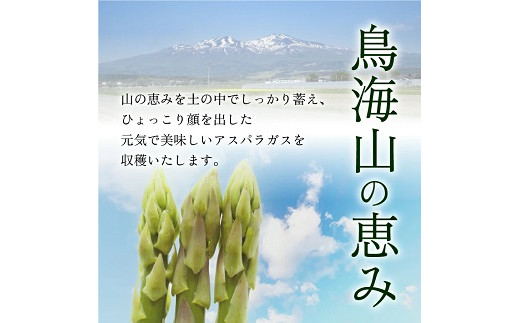 鳥海山アスパラガス 1.2kg 2026年3月下旬～8月下旬頃お届け 山形県遊佐町産 冷蔵便 ※離島発送・着日指定不可 野菜 アスパラ グリーンアスパラガス 農家直送 産地直送 山形県 遊佐町 庄内 春 夏