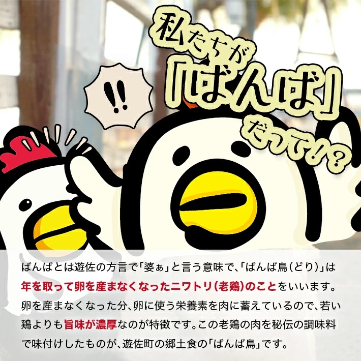 無添加　親鳥の煮込み「ばんばどり」　200ｇ×6袋　計1200ｇ 6袋