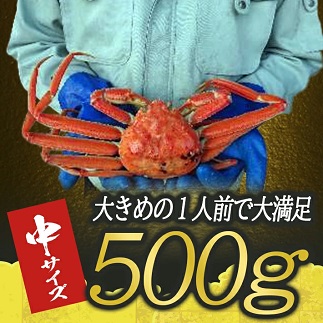 遊佐沖　ボイル・本ズワイガニ 1匹 500g程度
