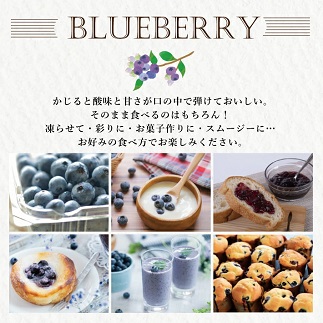 大粒ブルーベリー500ｇ×2パック計1kg化粧箱入り