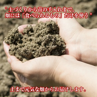 トマトジュース「秋のめぐ実」6本