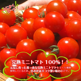 トマトジュース「鳥海山トマト」12本