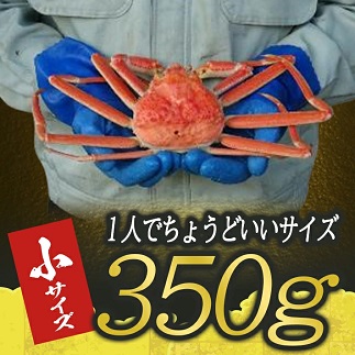 遊佐沖　ボイル・本ズワイガニ 1匹 350g程度