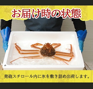遊佐沖　生・本ズワイガニ 1匹 700g程度