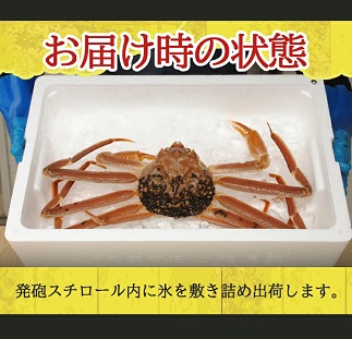 遊佐沖　生・本ズワイガニ 1匹 800g程度