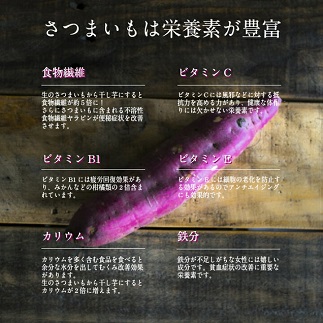 じろべの干し芋ほのまんまスウィーツ　120g×5パック