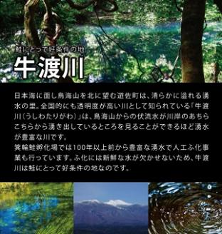 鮭トバ 100g×3パックセット