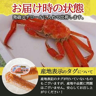 遊佐沖　ボイル・本ズワイガニ 1匹 500g程度