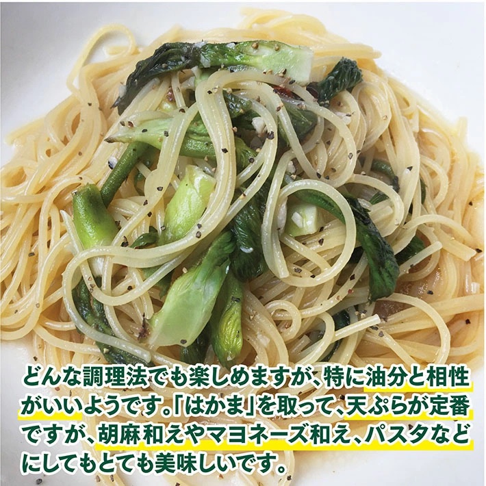 【山菜の王様】採れたて天然たらの芽約300g+オマケ1種