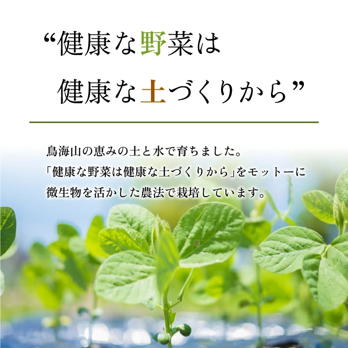 じろべの枝豆 1.8kg 300g×6袋 2026年7月上旬～9月下旬頃にお届け 山形県遊佐産 冷蔵便 ※離島発送・着日指定不可 野菜 豆 まめ マメ 枝豆 農家直送 産地直送 東北 山形県 遊佐町 庄内 夏