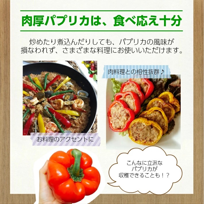 パプリカアラカルト　2kg