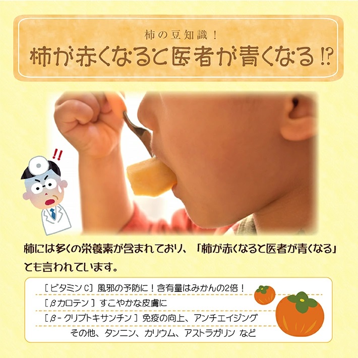 庄内柿 7.5kg 山形県遊佐町産 10月下旬～11月中旬頃お届け ※着日指定不可 東北 山形県 遊佐町 庄内地方 柿 カキ かき 種なし 種無し 平核無柿