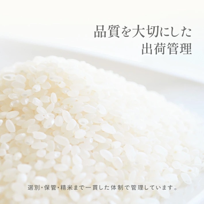 庄内産つや姫5kg（令和7年産米）2月中旬