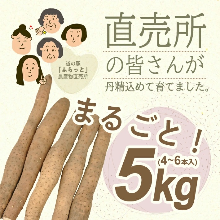 長いも 5.0kg（4～6本）山形県遊佐町産