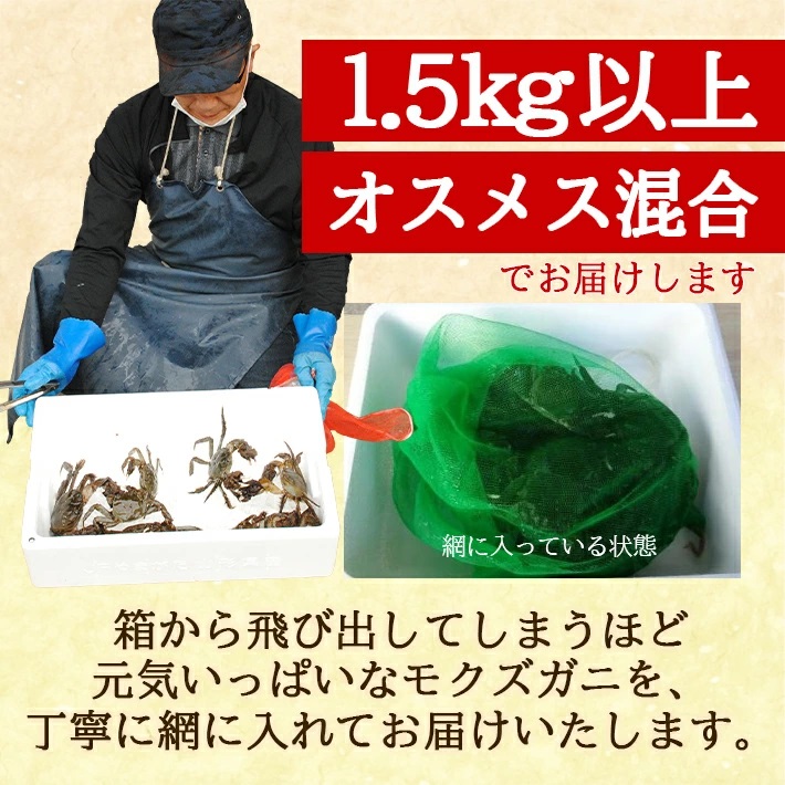 春の生・天然モクズガニ 1.5kg以上 8～15匹