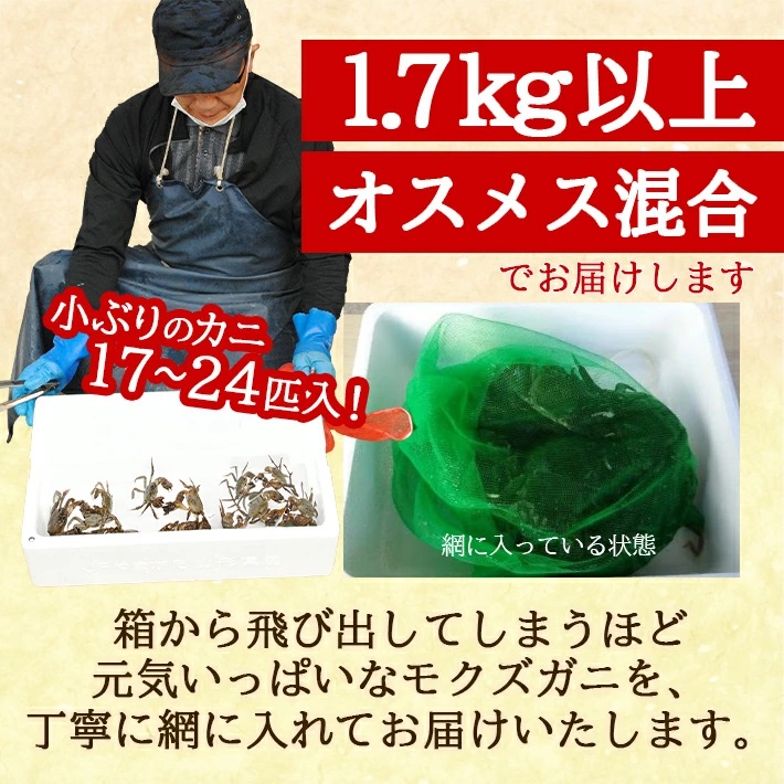 春の生・天然モクズガニ 1.7kg以上 小ぶりサイズ 17～24匹 オス・メス混合 山形県庄内産 2026年2月下旬～4月下旬頃順次発送 冷蔵便 ※着日指定・離島（沖縄県を含む）発送不可 カニ 蟹 かに 川ガニ 新鮮 鮮魚 まるごと 姿 カニみそ 味噌汁 蒸し蟹 期間限定