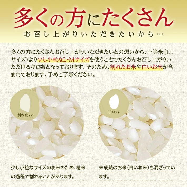 無洗米 こつぶ姫 5kg×2袋 計10kg　4月下旬