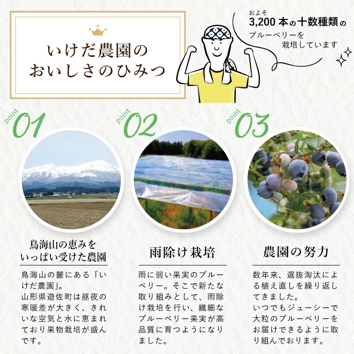 大粒ブルーベリー 500g×2パック 計1kg 化粧箱入 6月下旬～7月上旬頃お届け 山形県遊佐産 冷蔵便 ※着日指定・離島発送不可 果物 くだもの フルーツ ブルーベリー 国産 東北 山形県 遊佐町 庄内