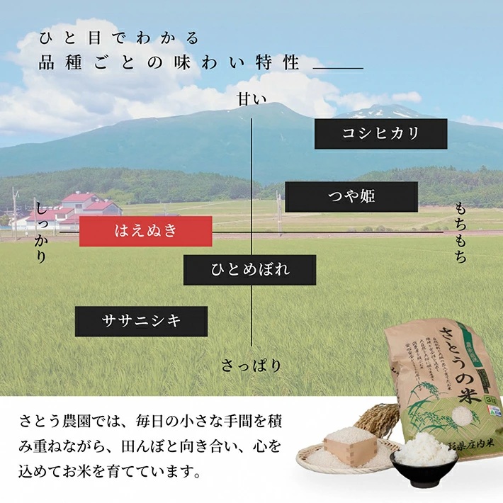 特別栽培米 はえぬき 5kg 白米 令和7年産 山形県産 東北 山形県 遊佐町 庄内地方 米 お米 庄内米 精米 ご飯 ごはん 産地直送 農家直送