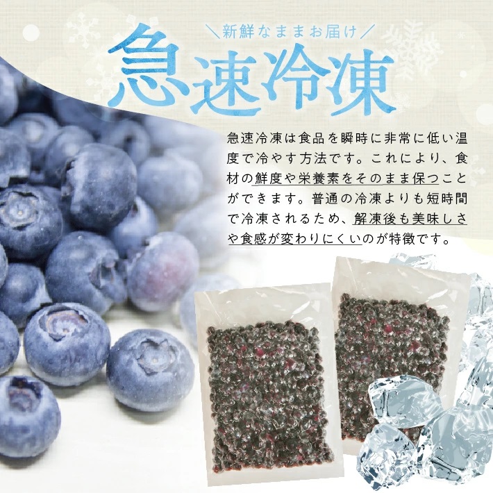 冷凍ブルーベリー1.5kg(500g×3袋) 山形県産 冷凍便 ※離島発送不可 冷凍 冷凍フルーツ ブルーベリー フルーツ ジャム ジュース スムージー 小分け お菓子作り ゆざ食彩工房 遊佐町 庄内 東北 1.5kg(500g×3袋)