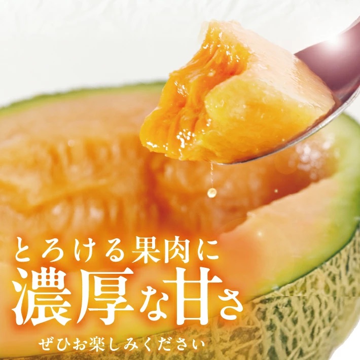 赤肉メロン 約5kg 4～5玉入 山形県遊佐町産 6月下旬～7月下旬頃お届け ※着日指定不可 果物 フルーツ メロン 赤肉 夏 東北 山形県 遊佐町 庄内 庄内砂丘 JA