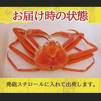 遊佐沖　ボイル・本ズワイガニ 1匹 350g程度