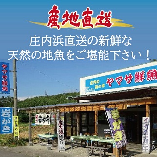 地魚おまかせセット　4～5種類入り計1.7kg以上