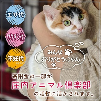 森の猫砂 庄内の天然木材100％ 5L×4袋 合計20L 20リットル